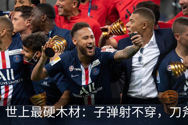 世上最硬木材：子弹射不穿，刀斧劈不烂，却被我国大量收购