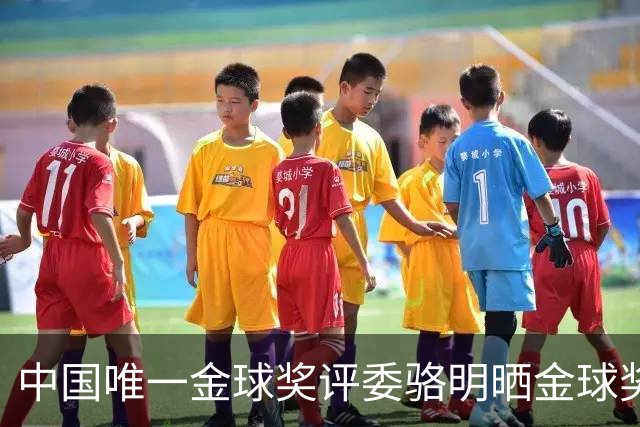 中国唯一金球奖评委骆明晒金球奖投票：首推梅西，姆总前五