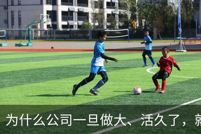 为什么公司一旦做大、活久了，就容易死亡？任正非似乎找到了办法