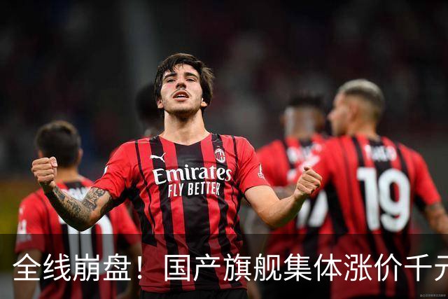 全线崩盘！国产旗舰集体涨价千元，首销最高暴跌71%