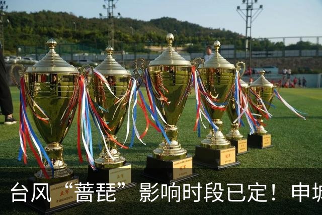 台风“蔷琵”影响时段已定！申城明夜暴雨、下周降温“齐上线”→