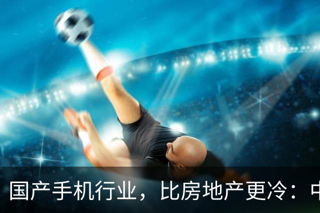 国产手机行业，比房地产更冷：中低端手机涨价，消费者用脚投票