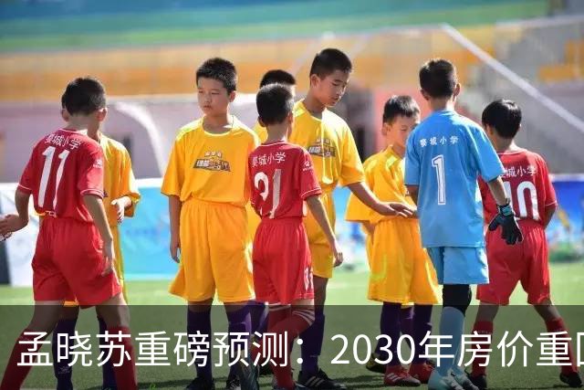 孟晓苏重磅预测：2030年房价重回前高没有悬念