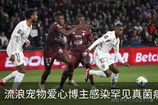 流浪宠物爱心博主感染罕见真菌病逝，年仅27岁，丈夫：妻子在ICU抢救了22天，她随时带着猫狗粮，走到哪里看到流浪猫狗都会喂