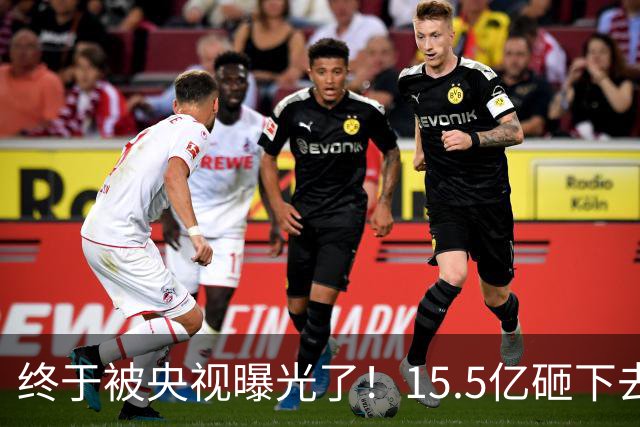 终于被央视曝光了！15.5亿砸下去的9000亩大棚，竟长满杂草！6年不种地，还领3700万补贴，检查来了插彩旗、人一走，立马就收走